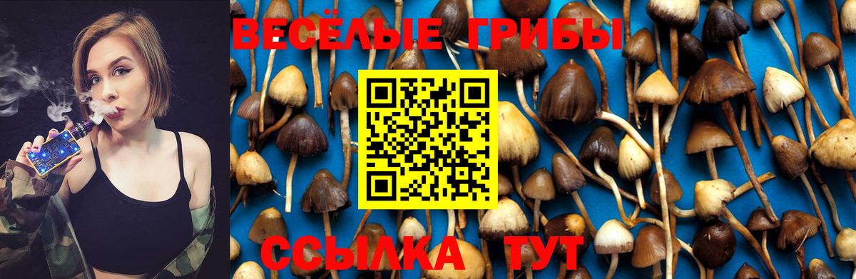Мытищи  Псилоцибиновые грибы прущие грибы  Галлюциногенные грибы MAGIC MUSHROOMS  Вход с VPN 